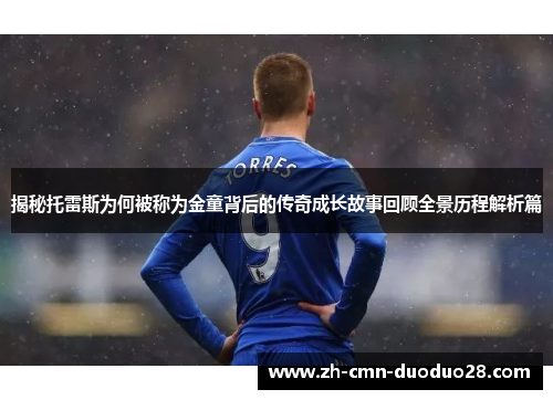 揭秘托雷斯为何被称为金童背后的传奇成长故事回顾全景历程解析篇 揭秘托雷斯为何被称为金童背后的传奇成长故事回顾全景历程解析篇