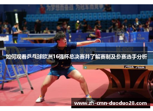 如何观看乒乓球欧洲16强杯总决赛并了解赛制及参赛选手分析