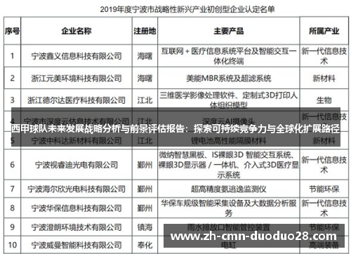 西甲球队未来发展战略分析与前景评估报告：探索可持续竞争力与全球化扩展路径