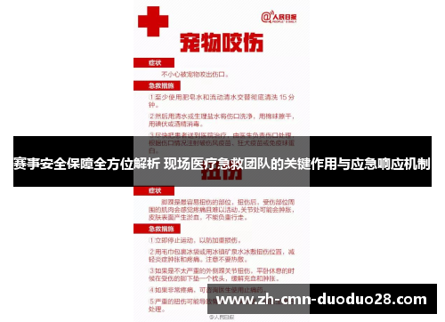 赛事安全保障全方位解析 现场医疗急救团队的关键作用与应急响应机制