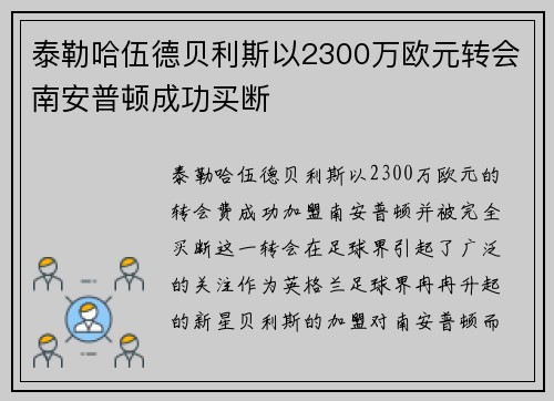 泰勒哈伍德贝利斯以2300万欧元转会南安普顿成功买断